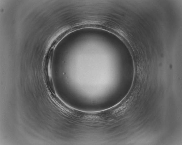 X0000054451119200508011422
