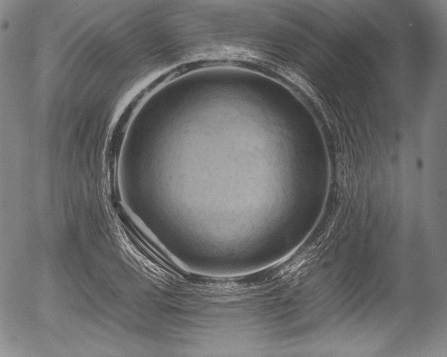 X0000054451120200508011422