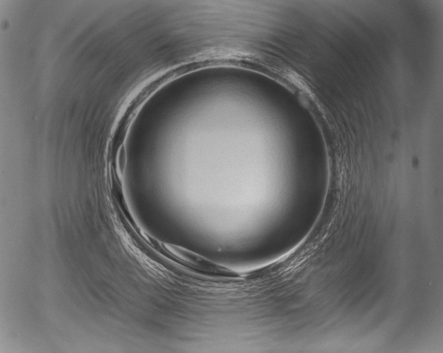 X0000054451124200508011422