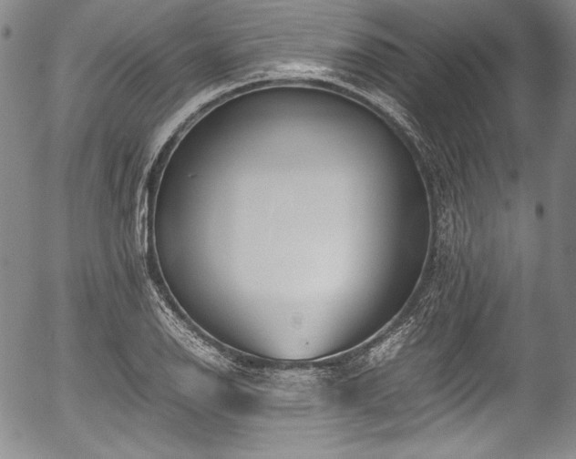 X0000054451126200508011422