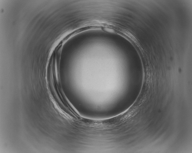 X0000054451128200508011422