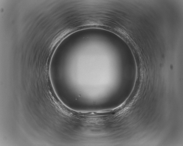 X0000054451129200508011422