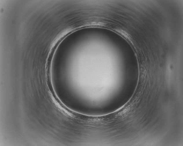 X0000054451135200508011422