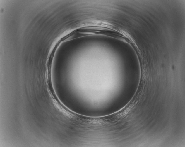 X0000054451136200508011422
