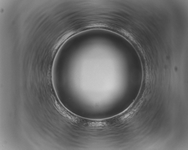 X0000054451137200508011422