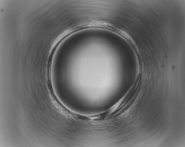 X0000054451138200508011422