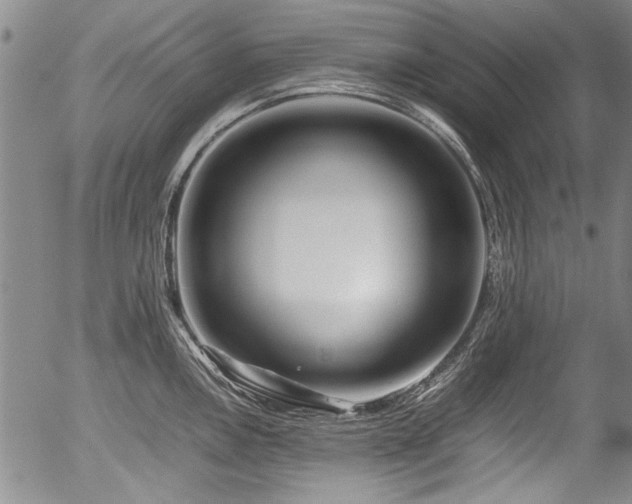X0000054451146200508011422