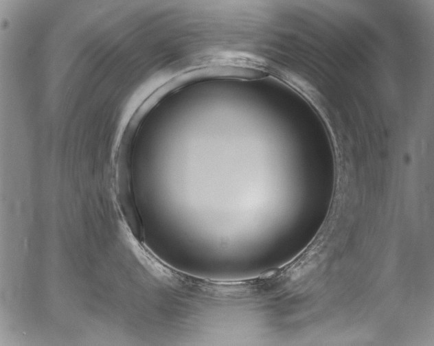 X0000054451152200508011422