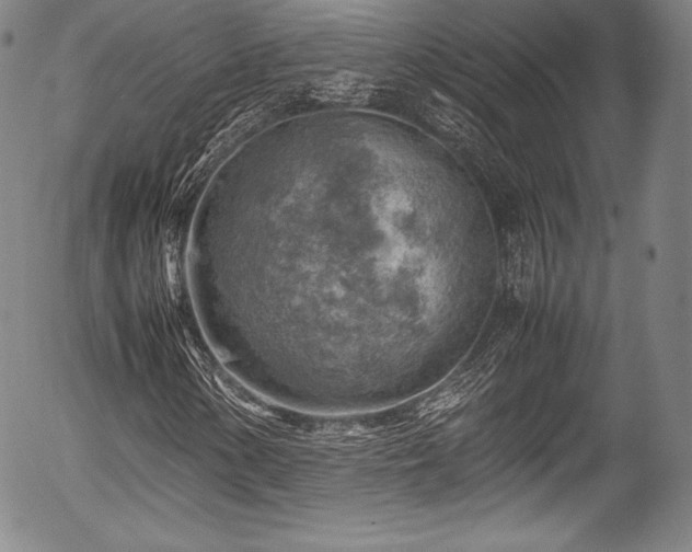 X0000054451154200508011422