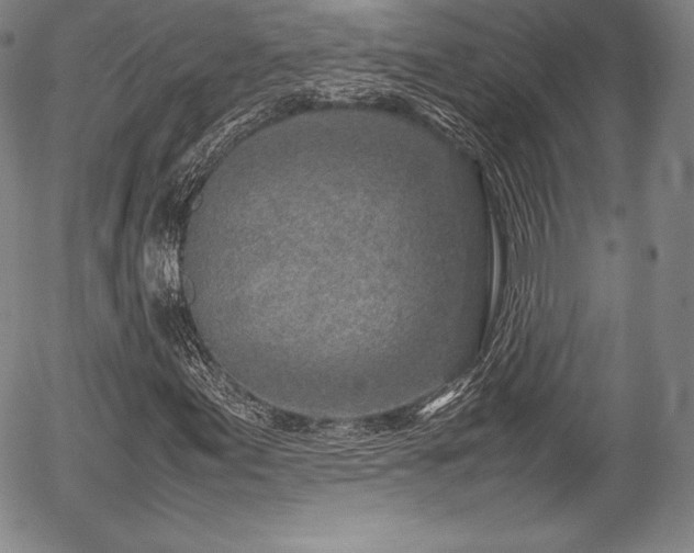 X0000054451155200508011422