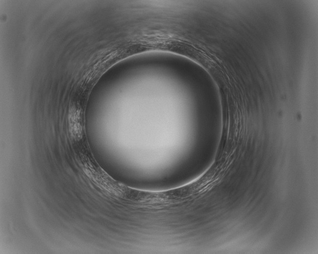 X0000054451156200508011422