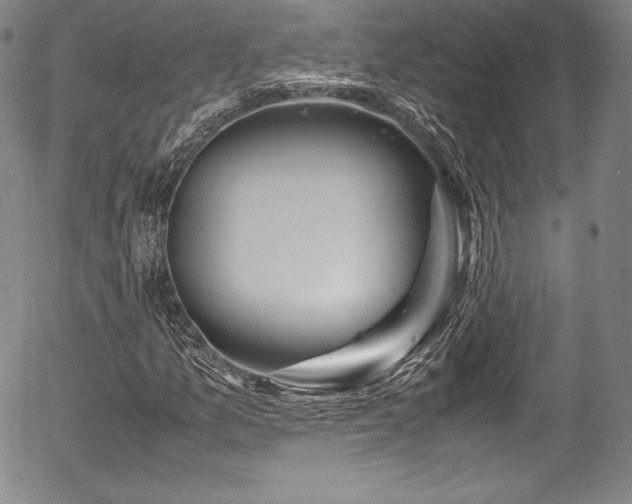 X0000054451157200508011422