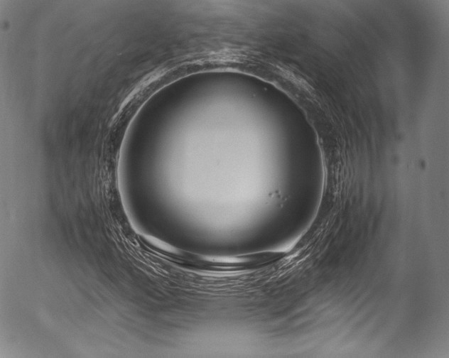 X0000054451160200508011421