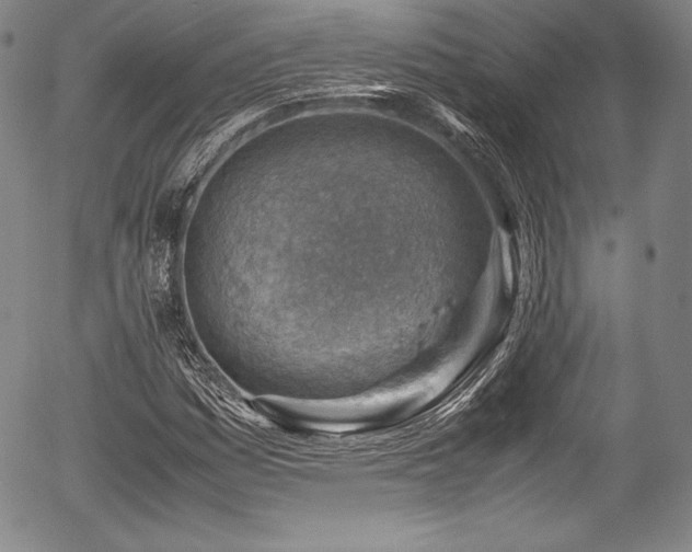 X0000054451161200508011421
