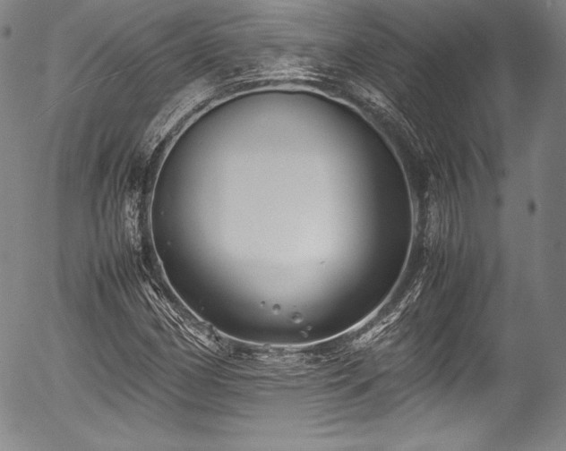 X0000054451162200508011421