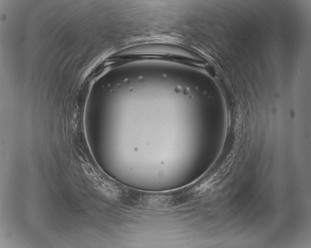 X0000054451163200508011421