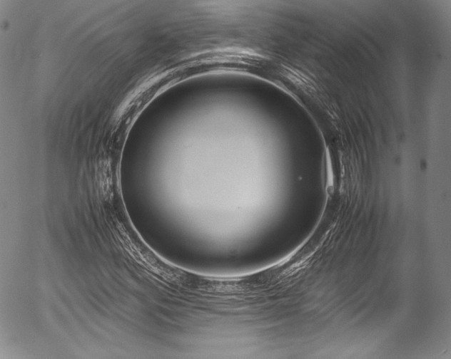 X0000054451164200508011421