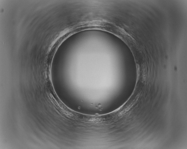 X0000054451166200508011421