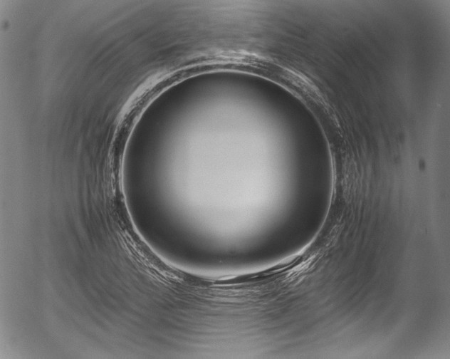 X0000054451172200508011421