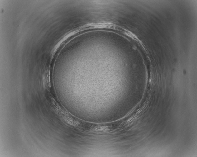 X0000054451174200508011421