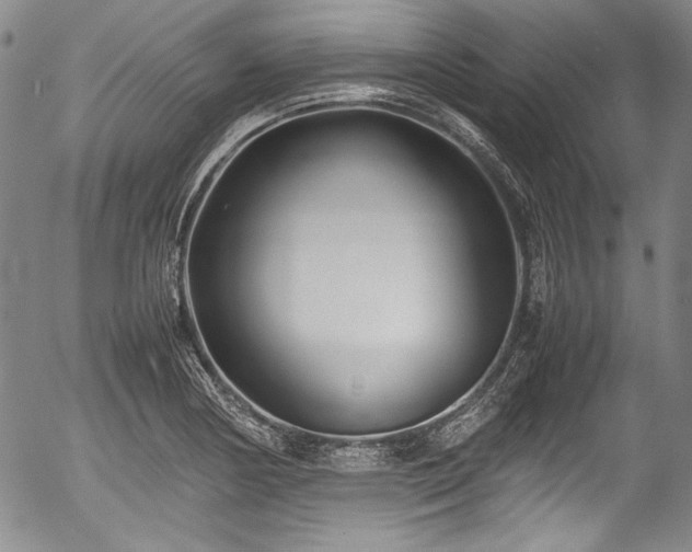 X0000054451178200508011421