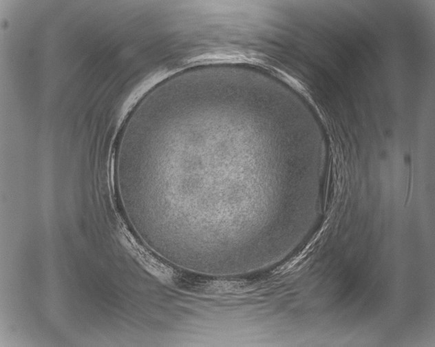 X0000054451179200508011421