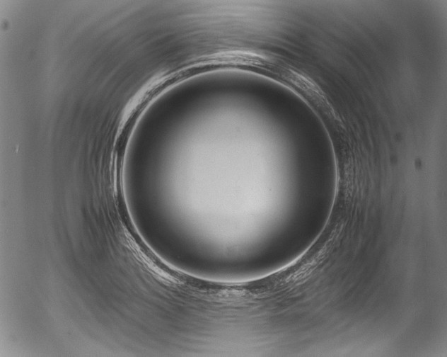 X0000054451180200508011421