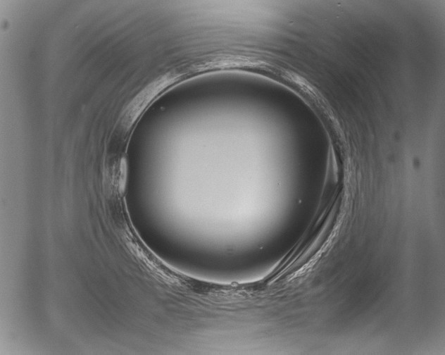 X0000054451185200508011421