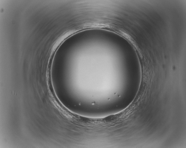 X0000054451187200508011421