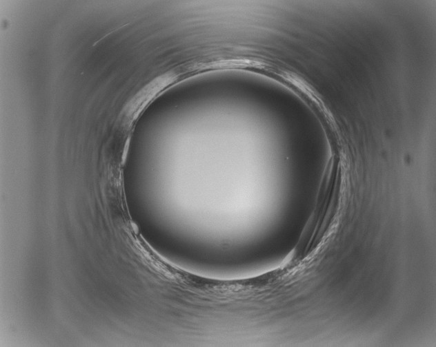 X0000054451193200508011421