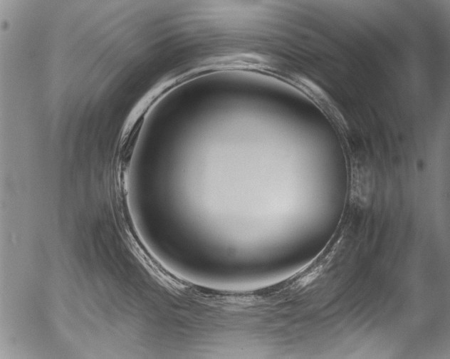 X0000054451196200508011421