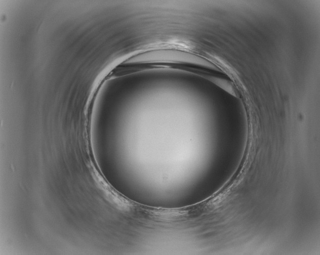 X0000054451200200508011421