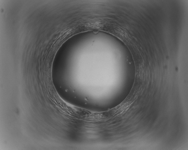 X0000054451201200508011420