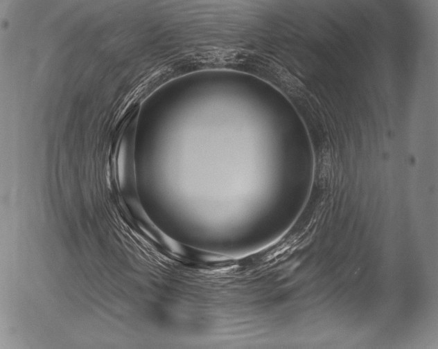 X0000054451202200508011420
