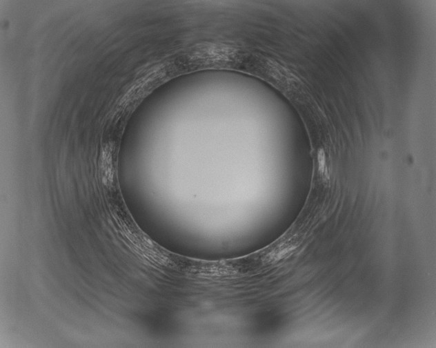 X0000054451203200508011420