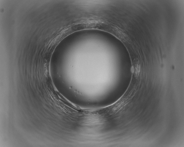 X0000054451204200508011420