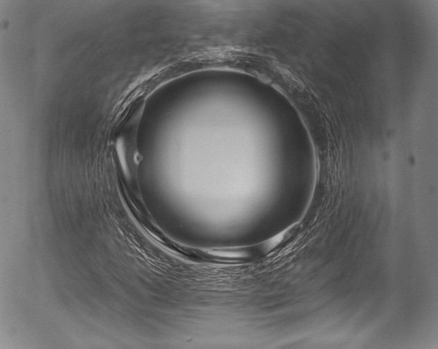 X0000054451206200508011420
