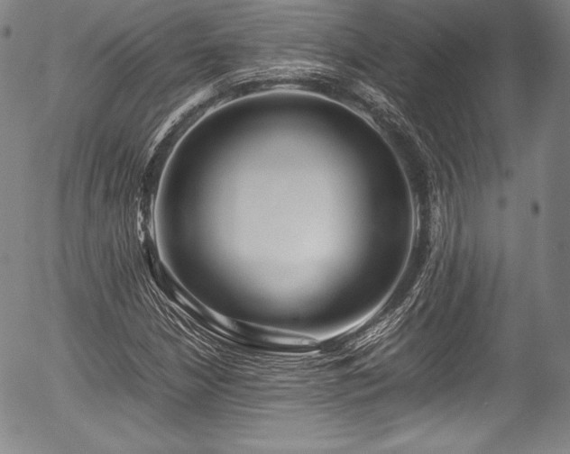 X0000054451210200508011420