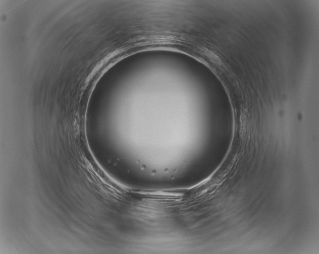 X0000054451212200508011420
