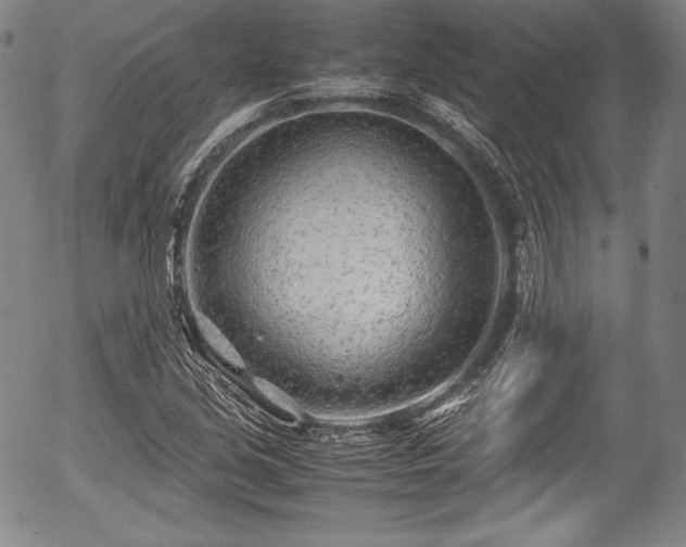 X0000054451213200508011420