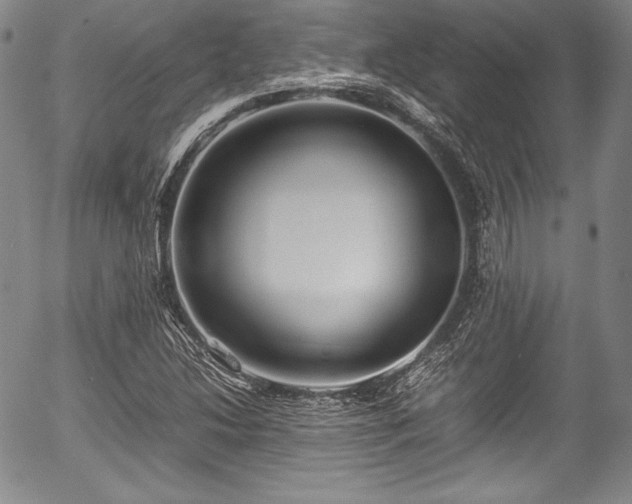 X0000054451214200508011420