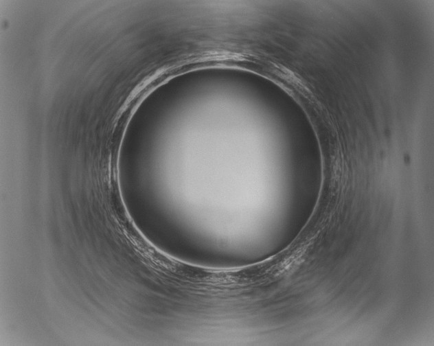 X0000054451220200508011420