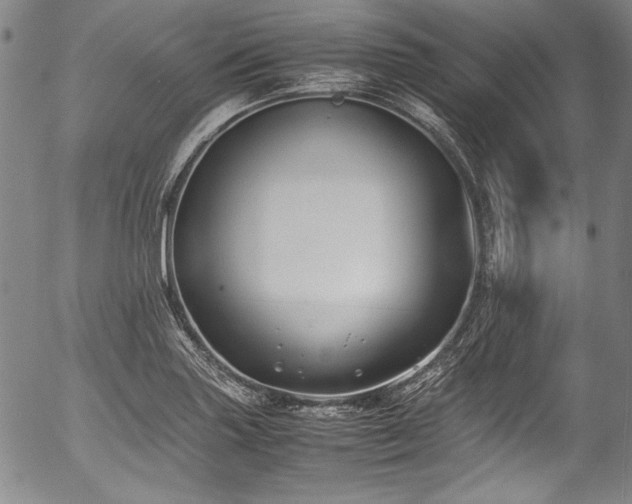 X0000054451227200508011420