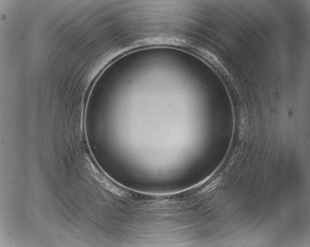 X0000054451228200508011420