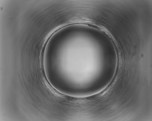 X0000054451246200508011421