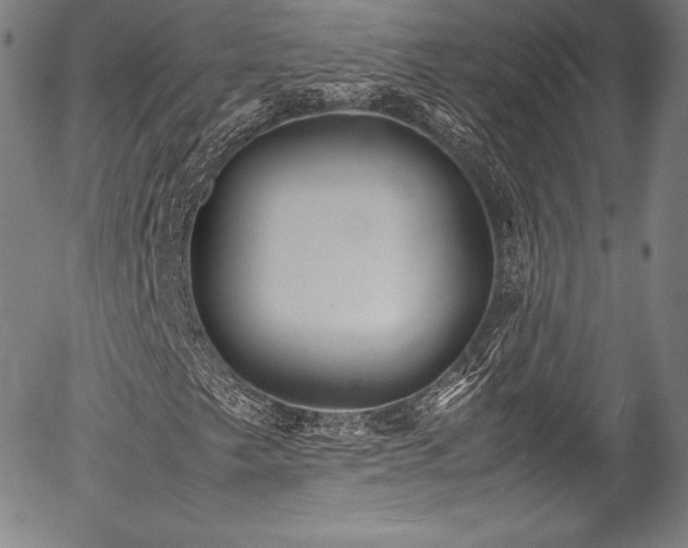X0000054451249200508011420