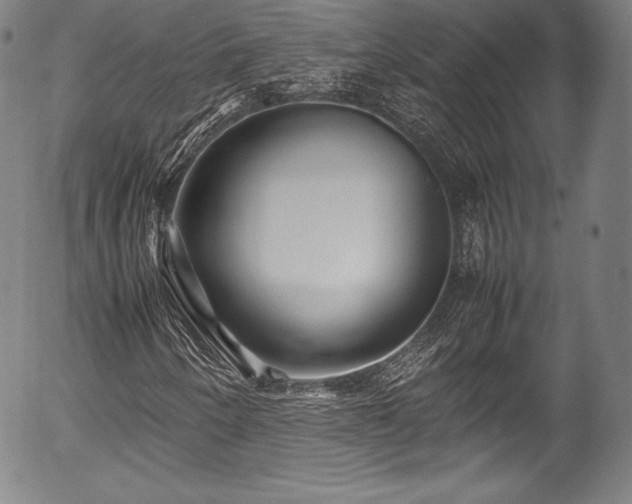 X0000054451250200508011420