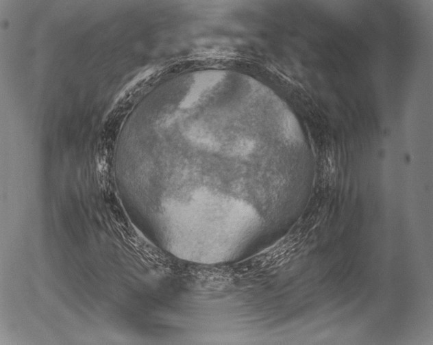 X0000054451254200508011420