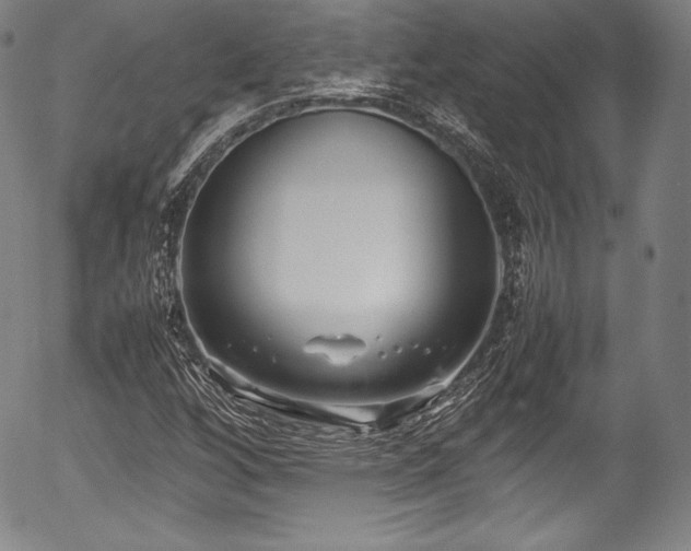 X0000054451256200508011420