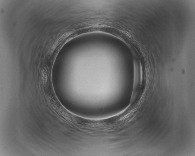 X0000054451257200508011420